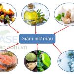 Bệnh mỡ máu tránh ăn gì và cần ăn gì ?