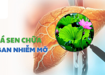 4 Cách sử dụng lá sen giúp giảm mỡ gan hiệu quả tại nhà